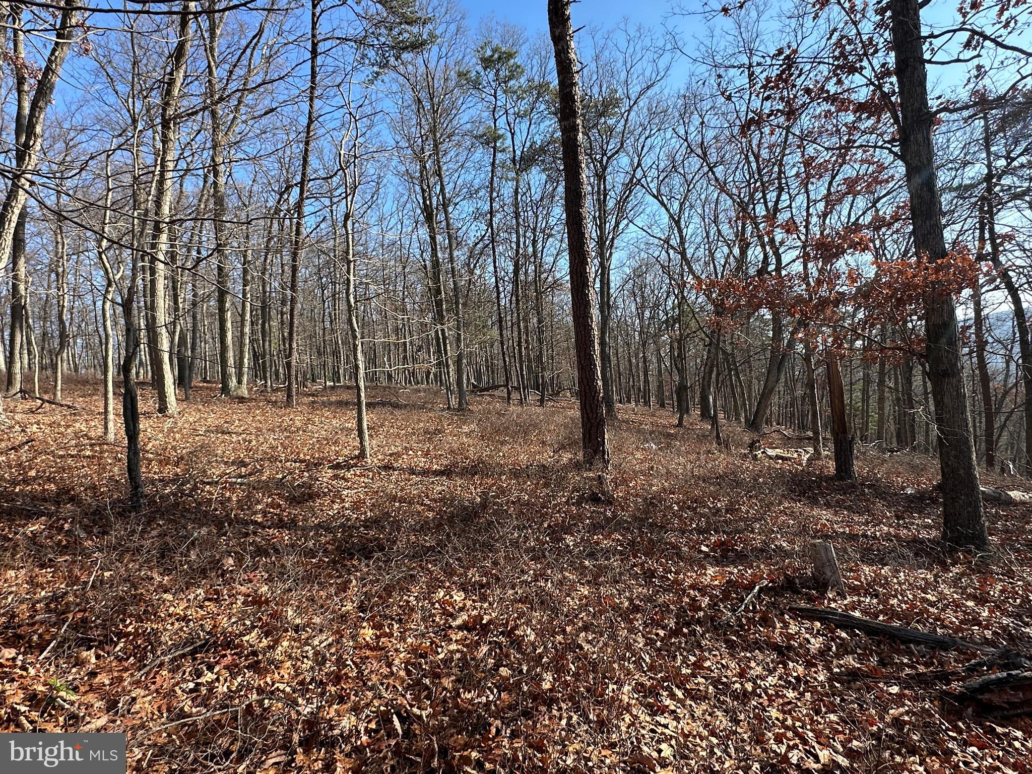 BLUFFS ON THE POTOMAC - Land