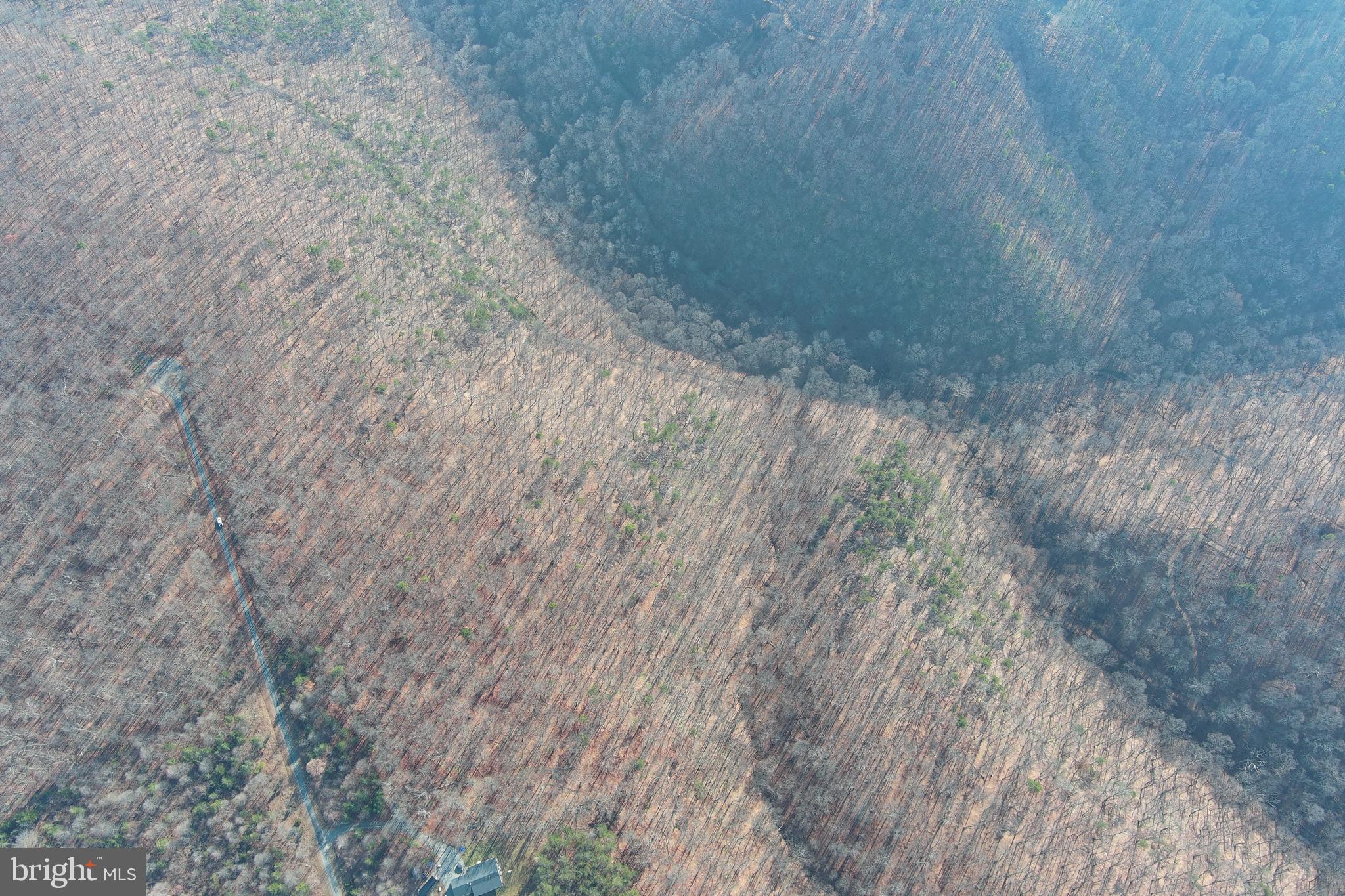 BLUFFS ON THE POTOMAC - Land