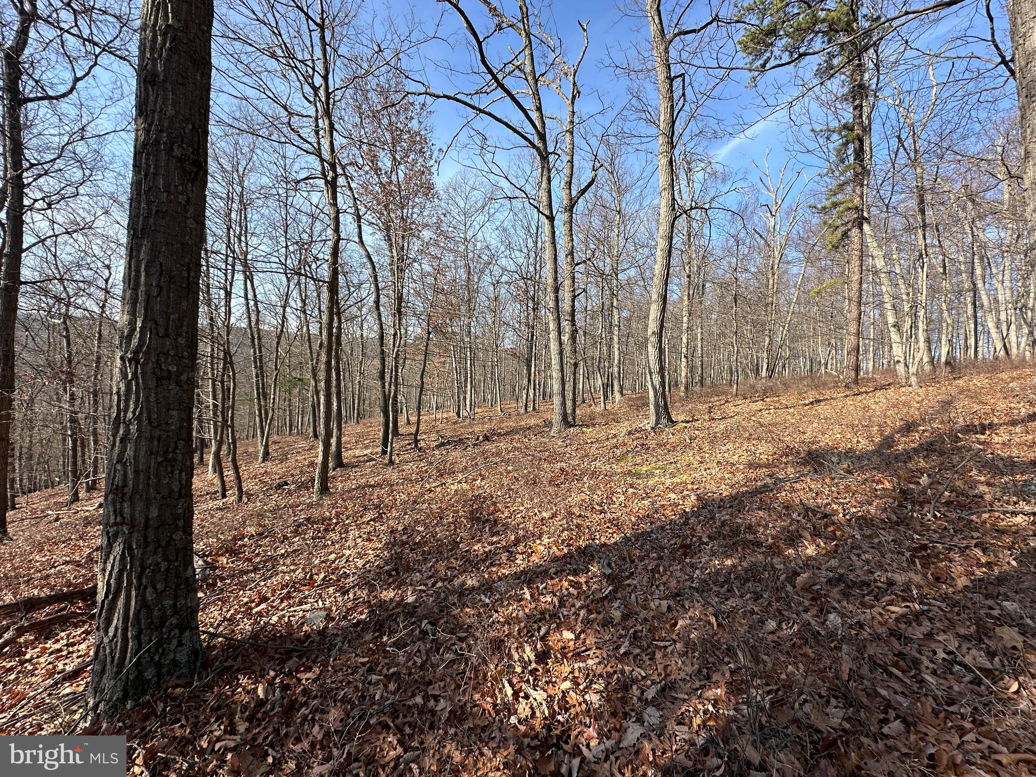 BLUFFS ON THE POTOMAC - Land