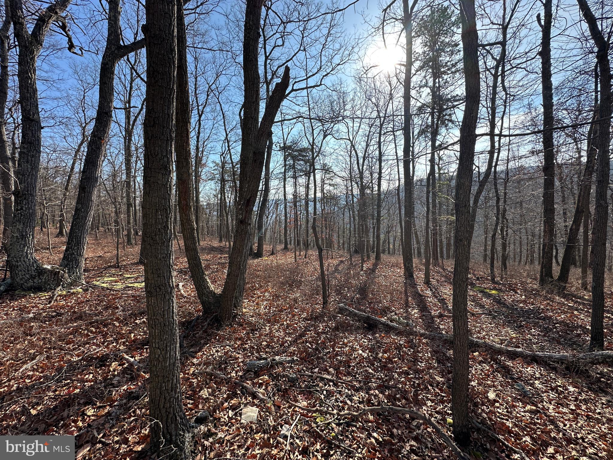 BLUFFS ON THE POTOMAC - Land