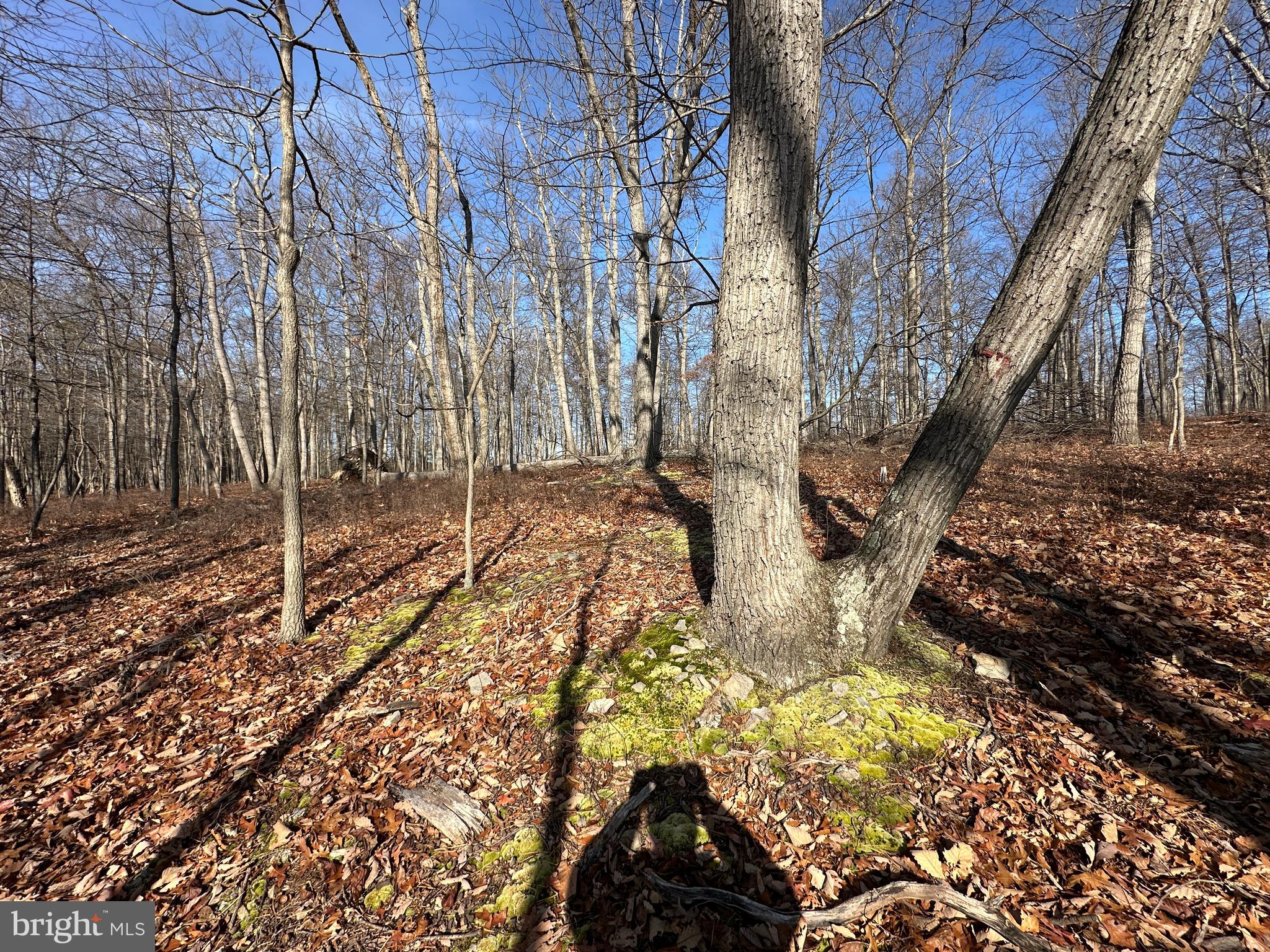 BLUFFS ON THE POTOMAC - Land