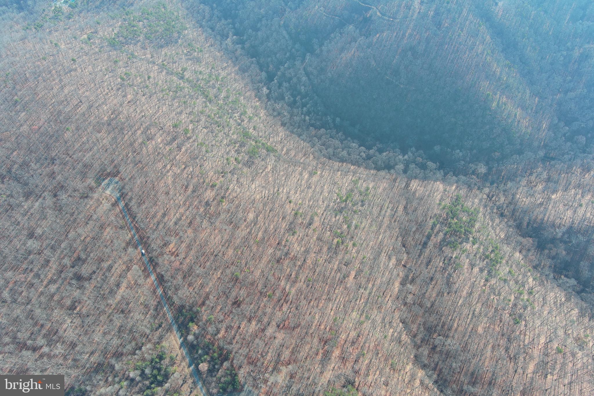 BLUFFS ON THE POTOMAC - Land