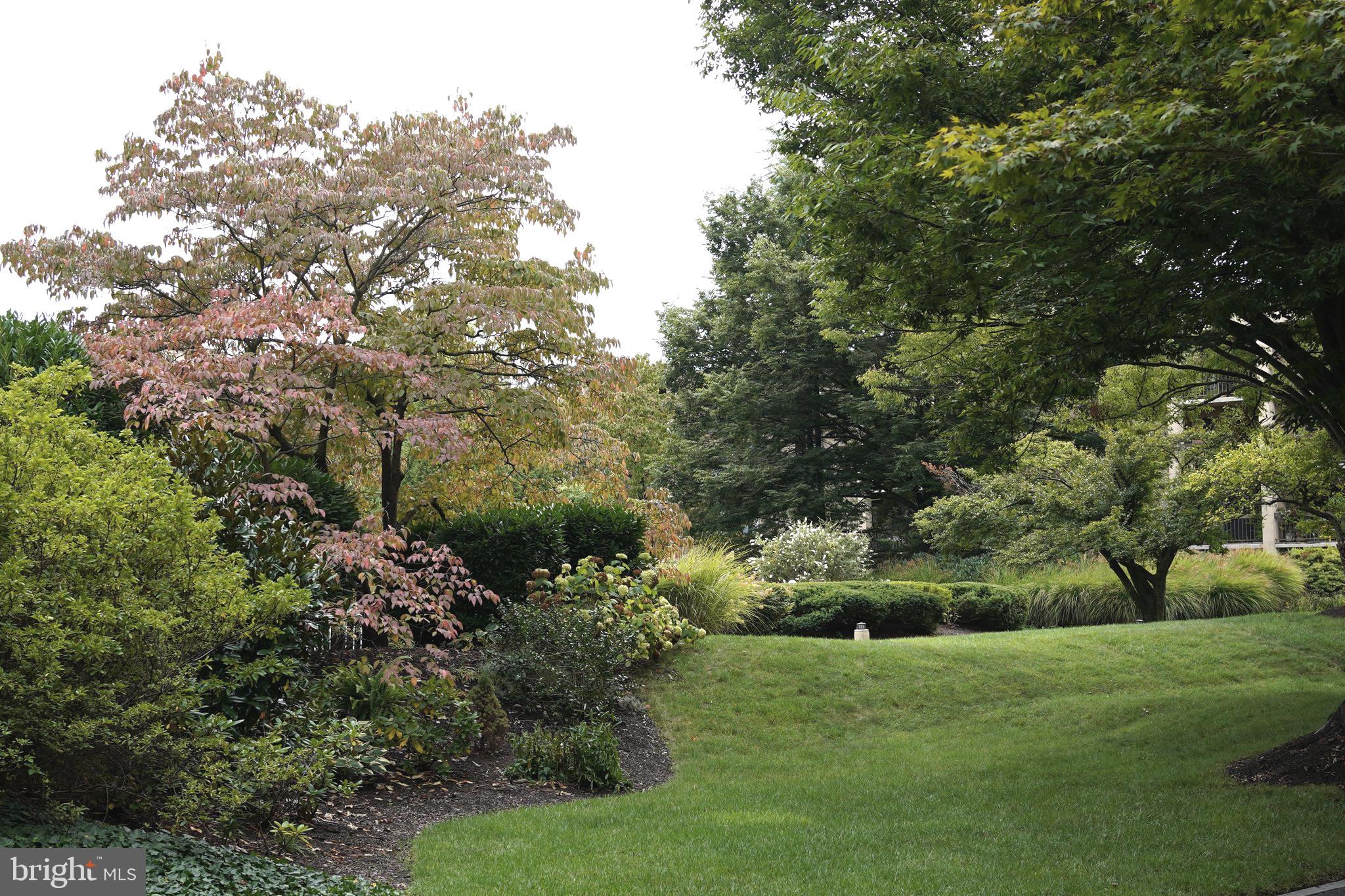 THE PLAZA - Residential Lease