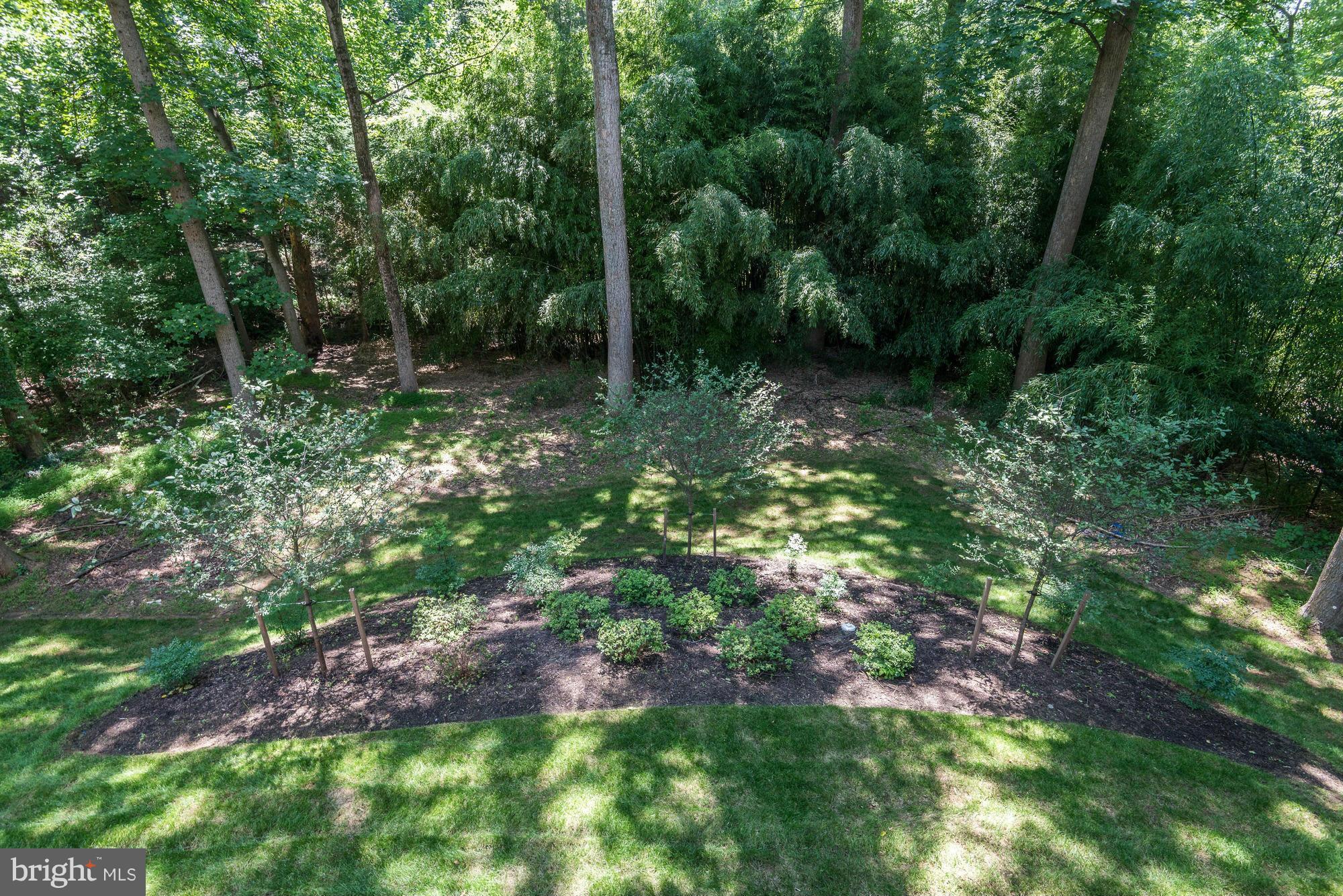 BURNING TREE MANOR - Residential