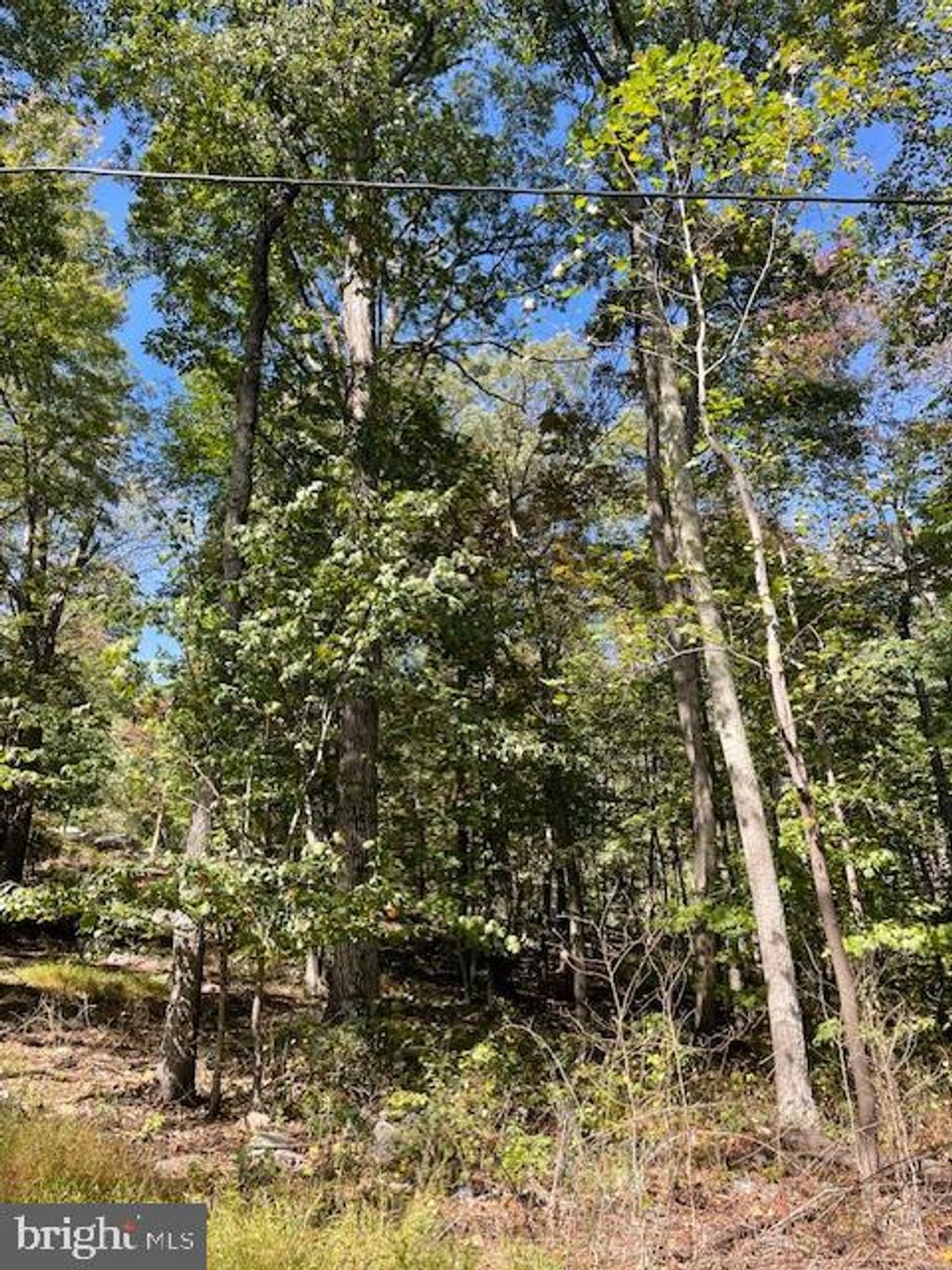 Photo of 0 Inca Lot 209 Trail, WINCHESTER, VA 22602 (MLS # VAFV2037256)