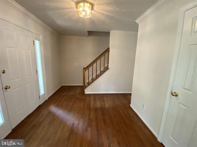 11304 SPRINGFIELD DRIVE
