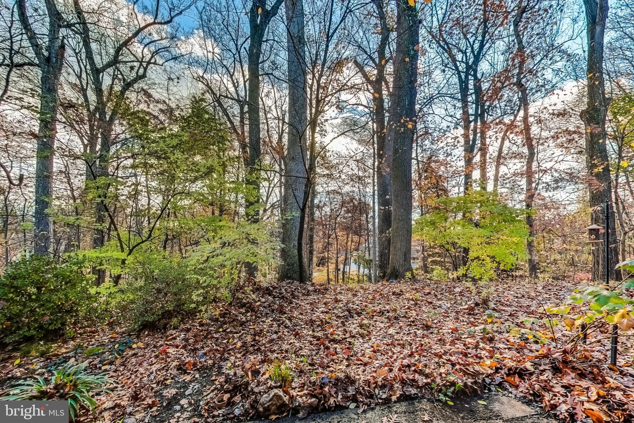 SADDLE RIDGE CODM - Residential Lease