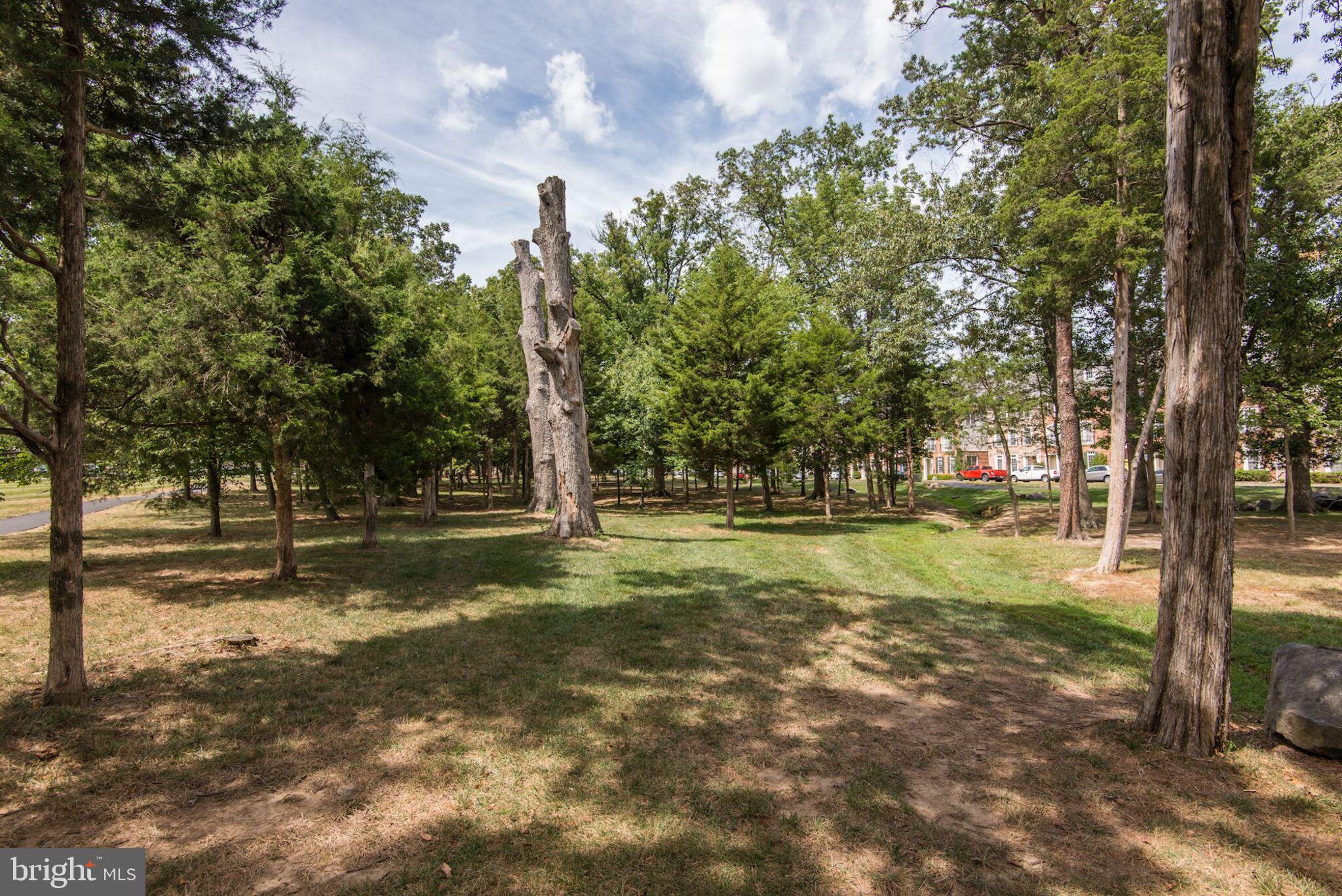 BRAMBLETON - Residential