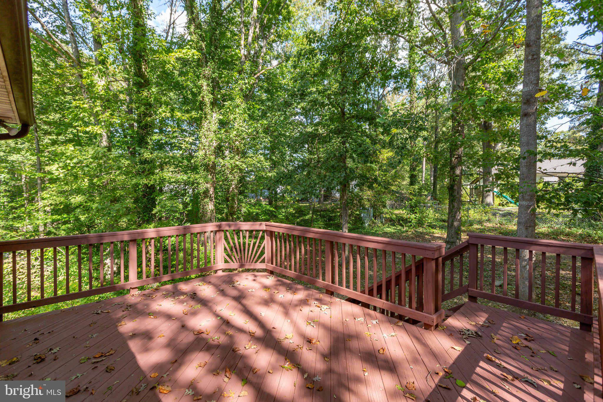 PLANTATION FOREST - Residential Lease