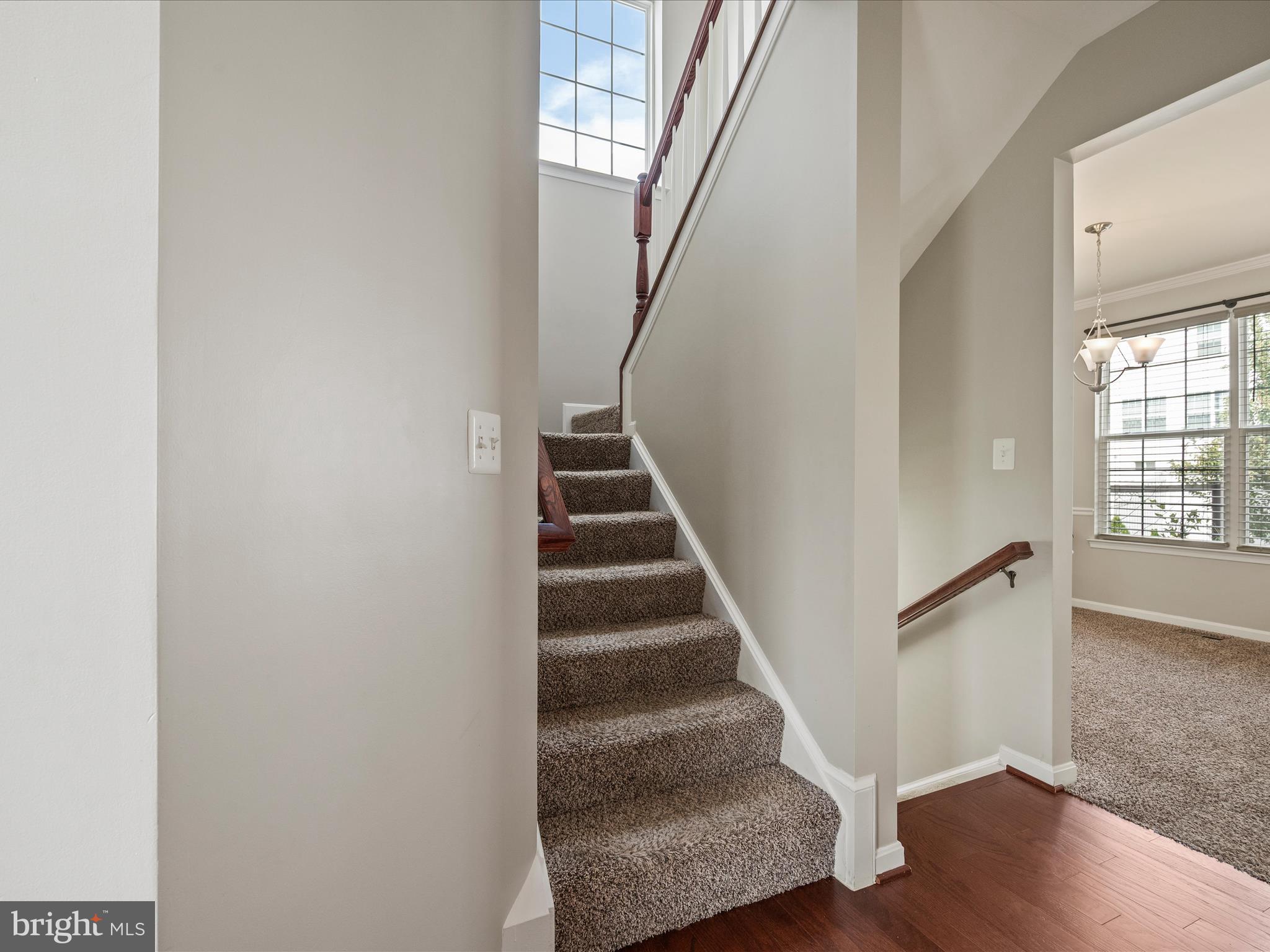 SHENANDOAH SPRINGS - Residential