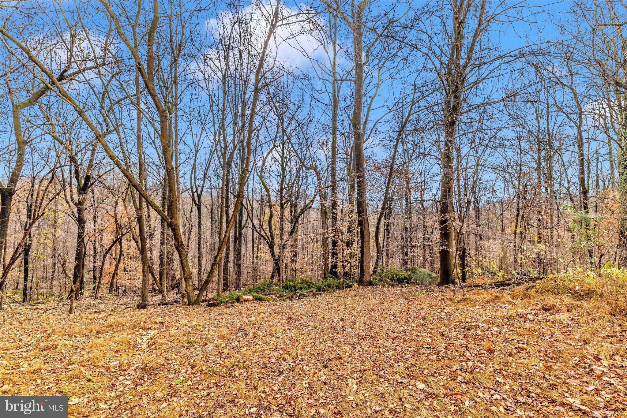 KNOXVILLE - Residential