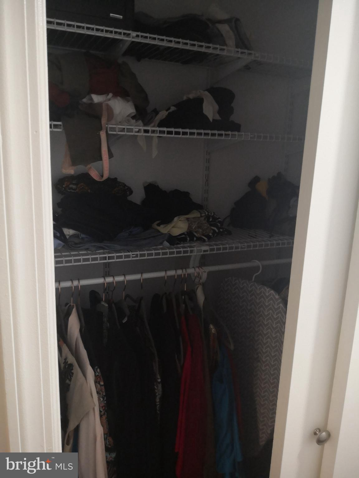 SPRING ARTS - Residential Lease