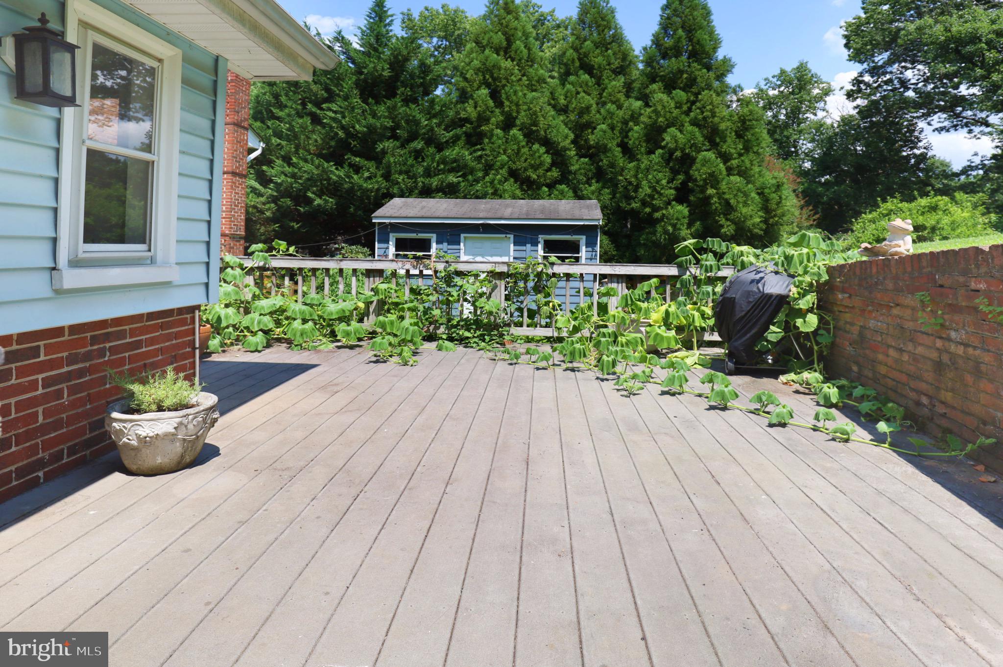 WEST SPRINGFIELD - Residential