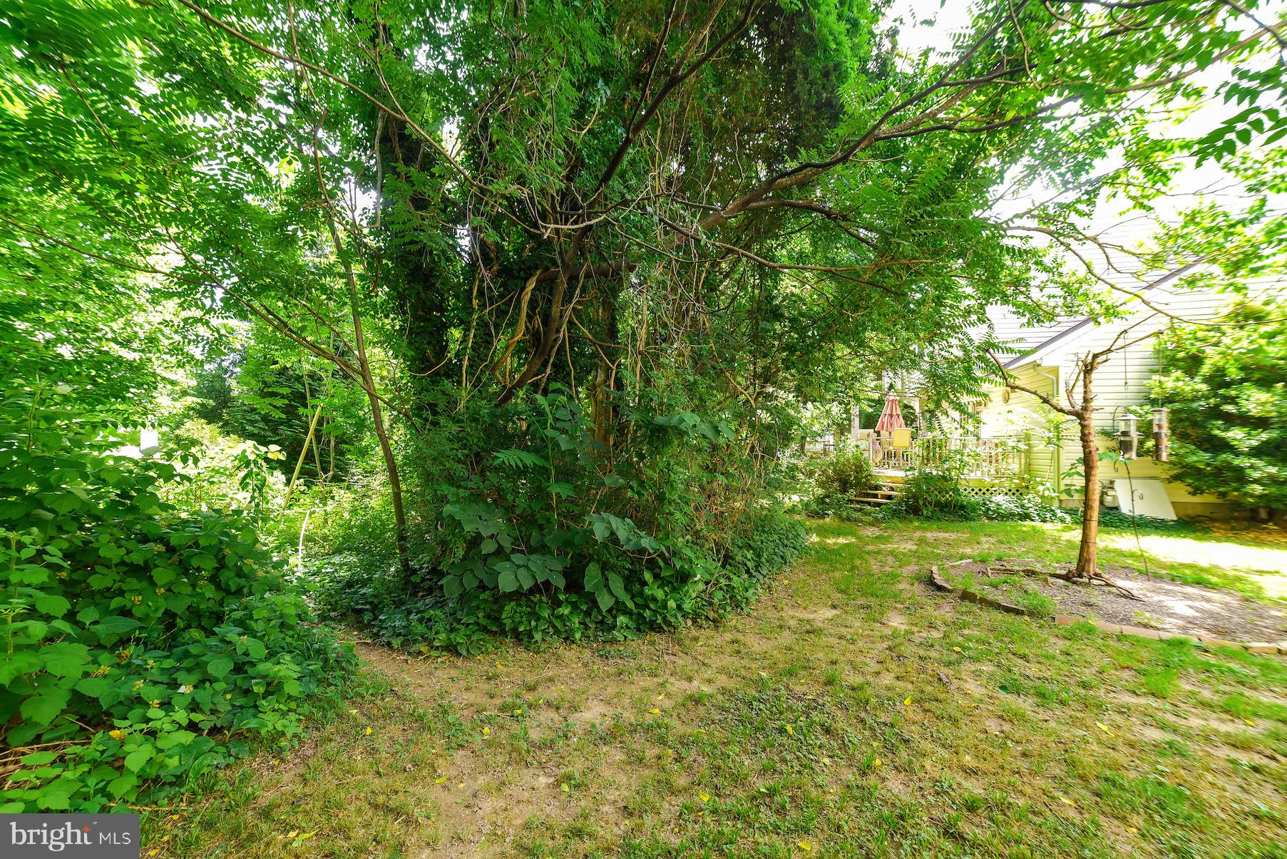 GRAY INN COURT - Residential