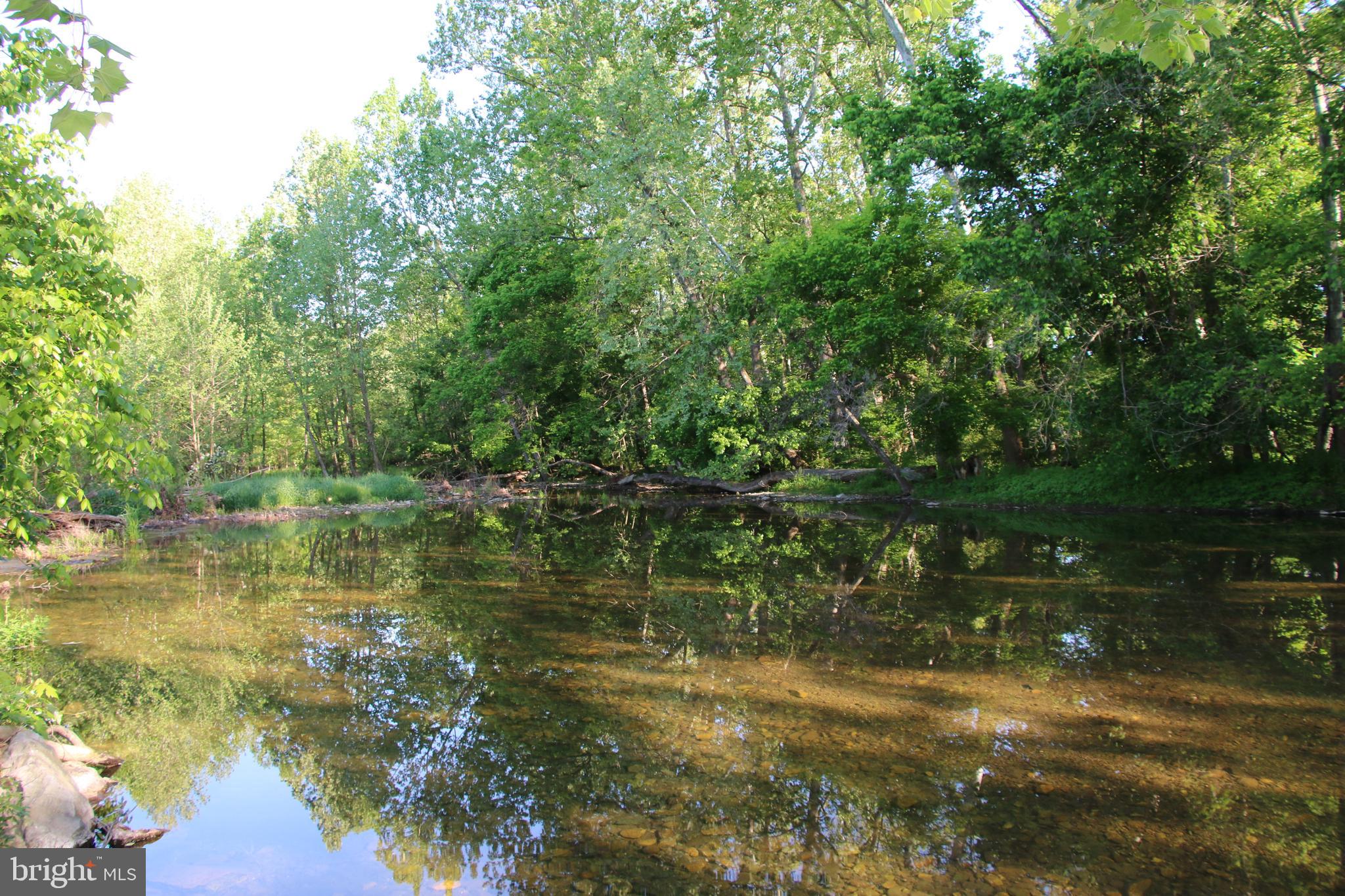 NAKED CREEK ROAD