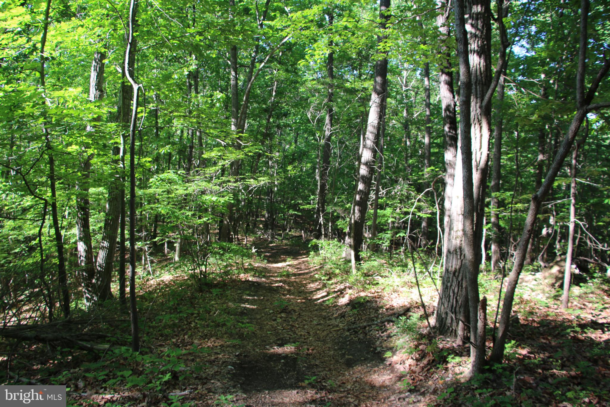 NAKED CREEK ROAD