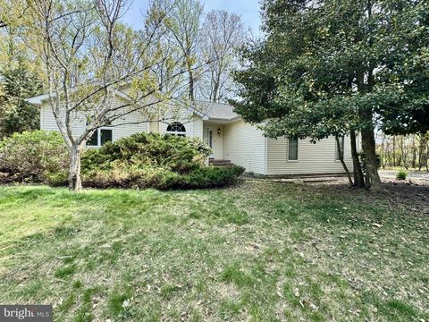 36325 OLD MILL POND ROAD SELBYVILLE DE 19975