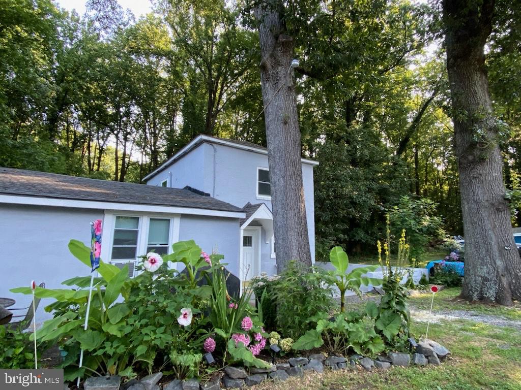 FOULGER AND BOLDOG - Residential Lease