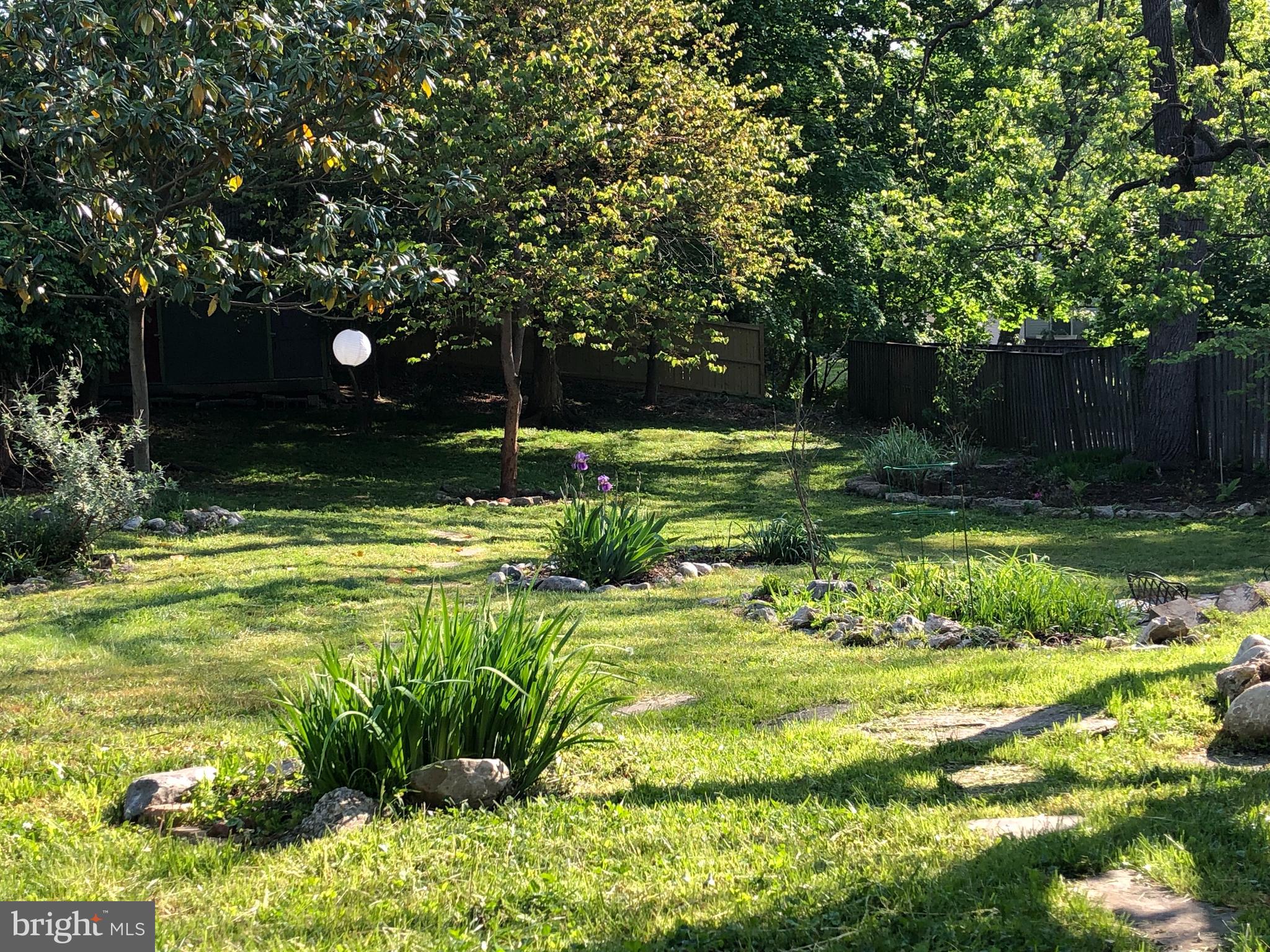 TAKOMA PARK - Residential