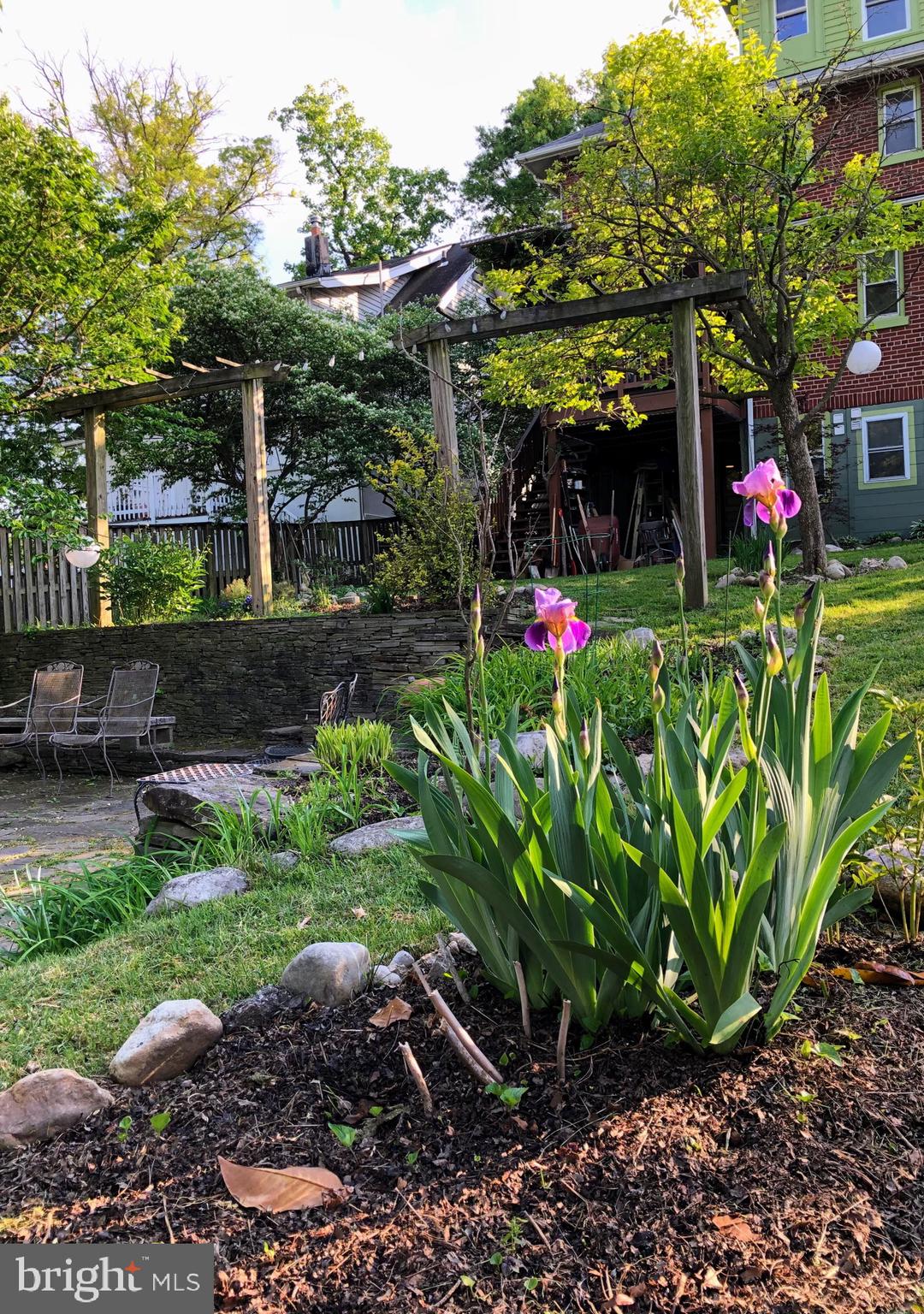 TAKOMA PARK - Residential