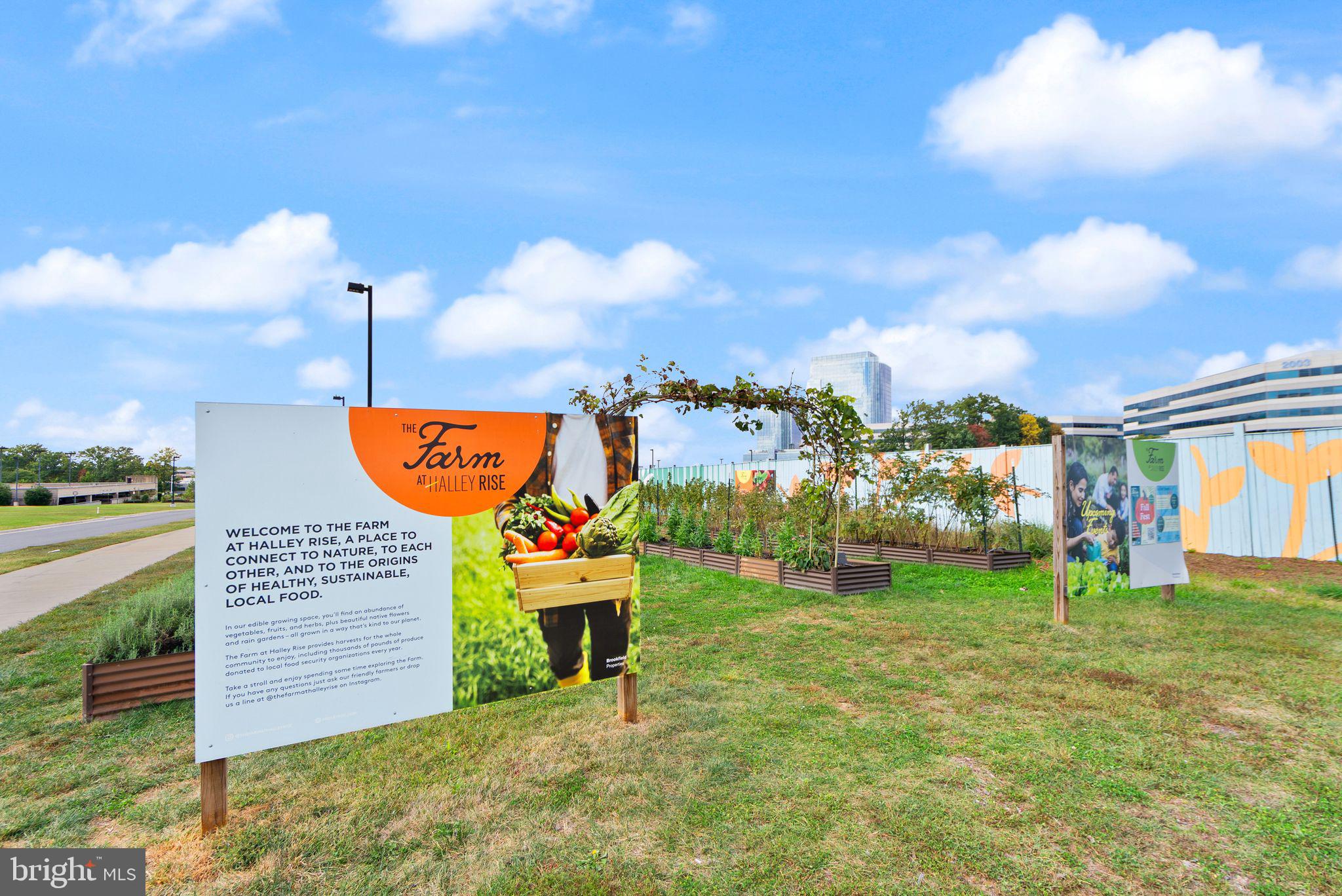 SOUTHGATE CONDO - Residential