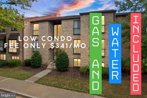 2042 ROYAL FERN COURT 1B RESTON VA 20191