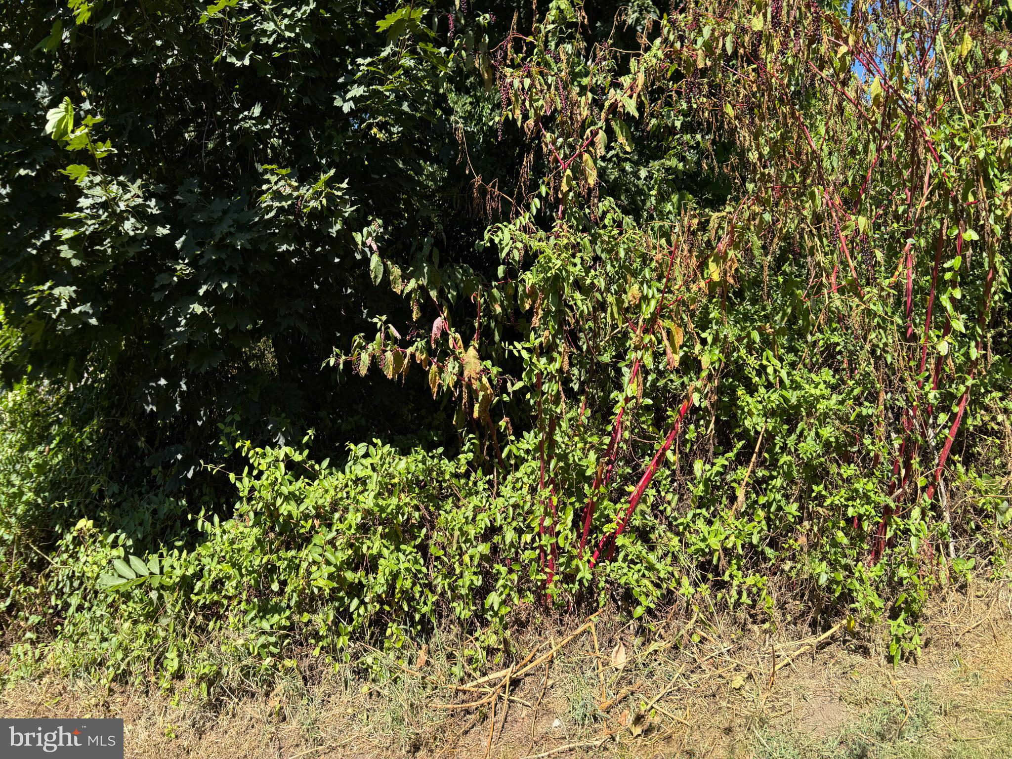 214 2ND AVENUE