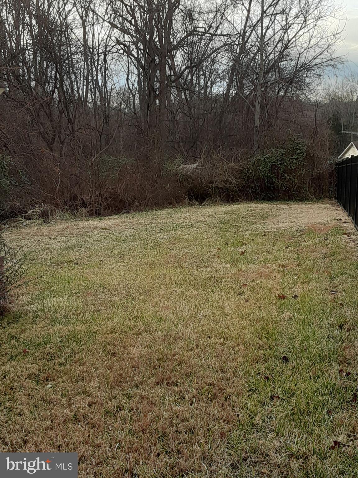 CATALPA - Residential