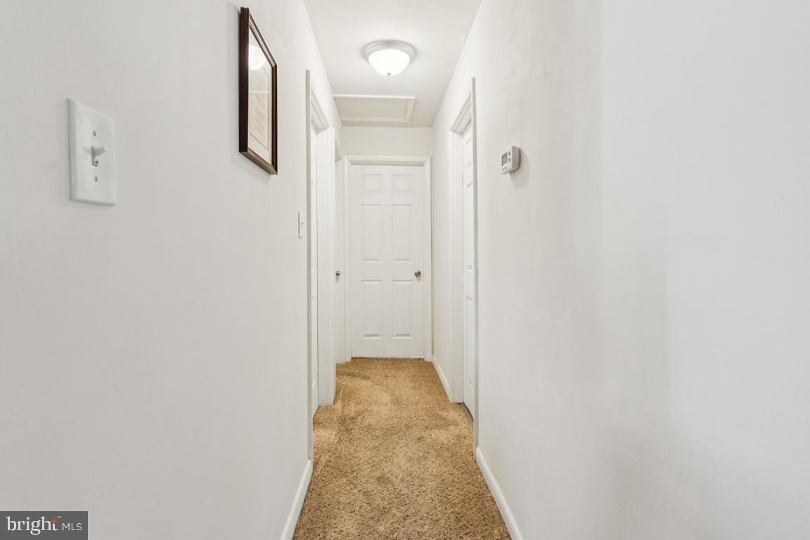 CATALPA - Residential