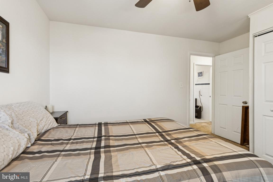 CATALPA - Residential