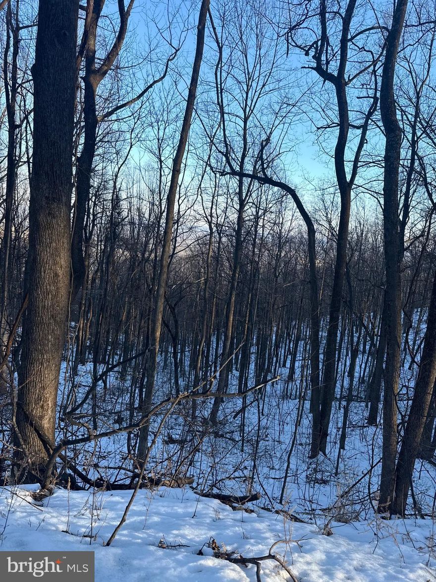 Bring your plans and dreams.  Please google and research water access through the Prince William County Service Authority.  You can find more information on Bull Run Mountain and the Evergreen Water Supply Improvements Program.