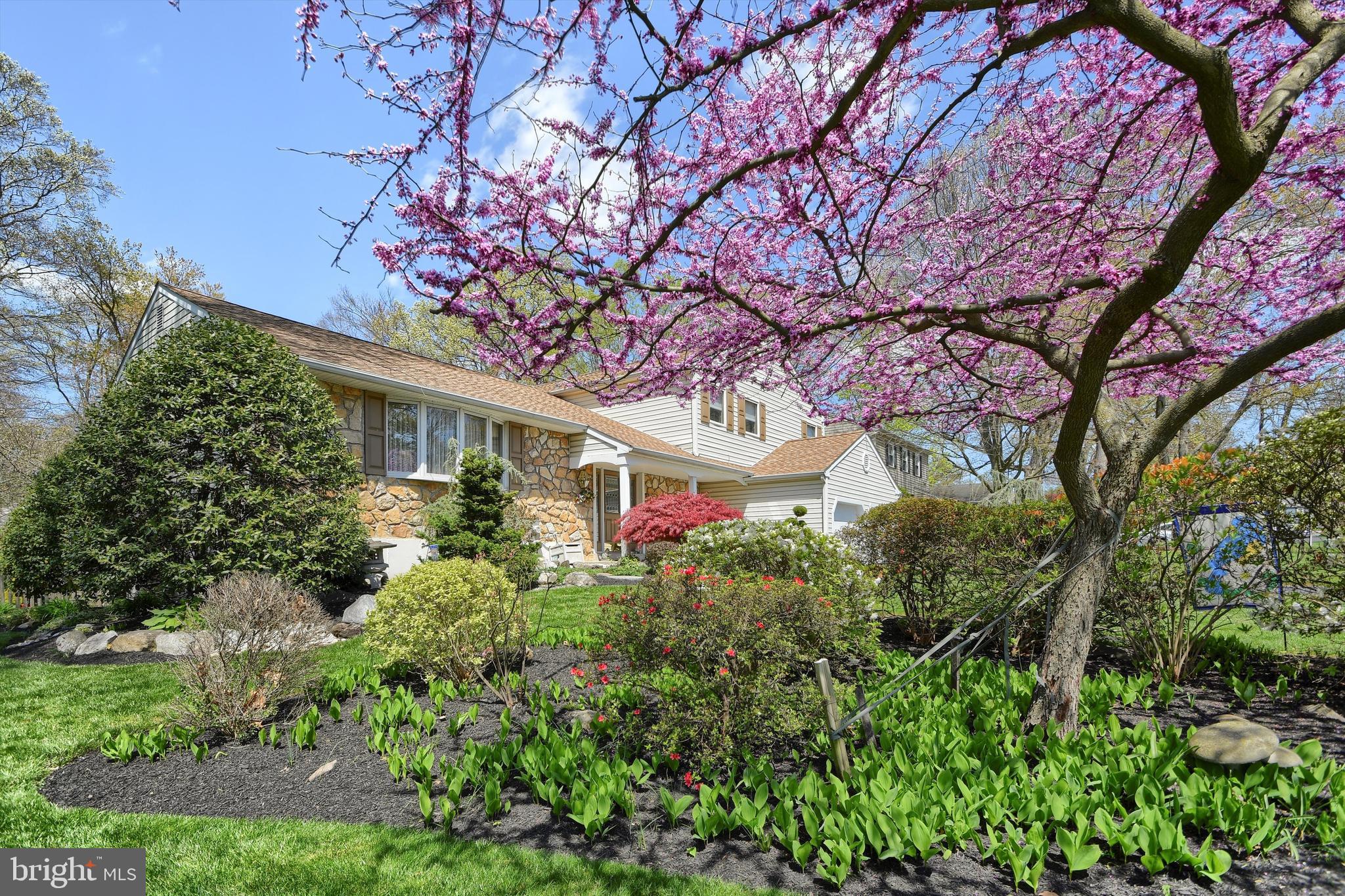 THE PINES - Residential