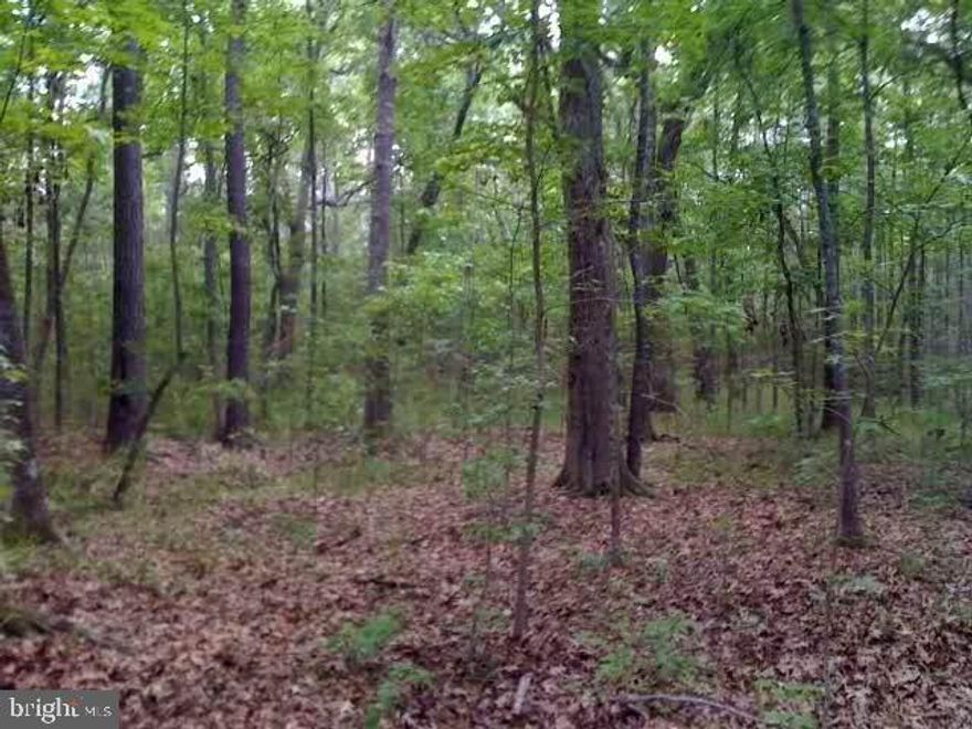 Build your dream home in Prince Frederick. This property offers over 3 acres. It has a Perc and is ready to be built on. Check it out today!