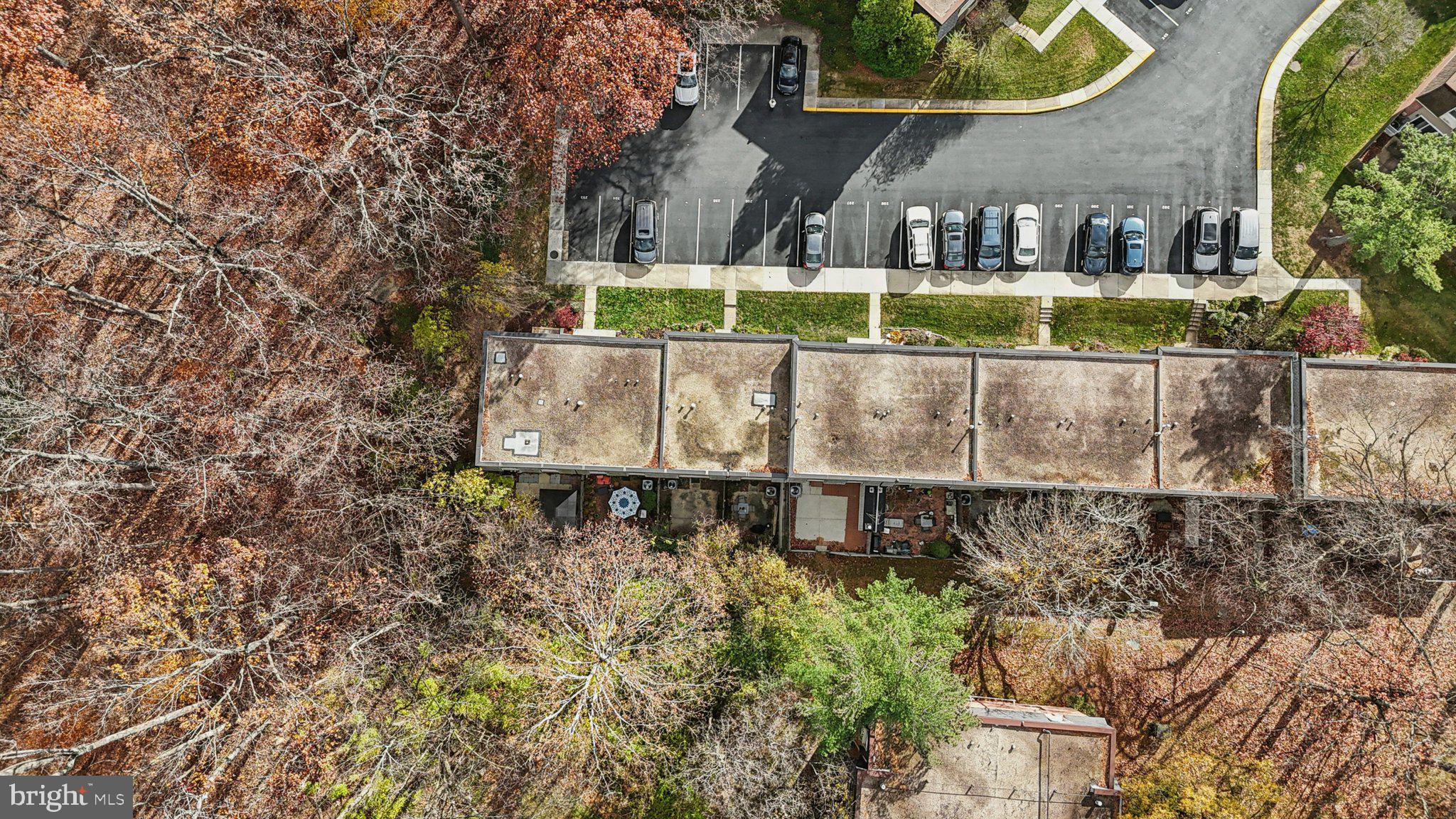 CARDINAL FOREST - Residential