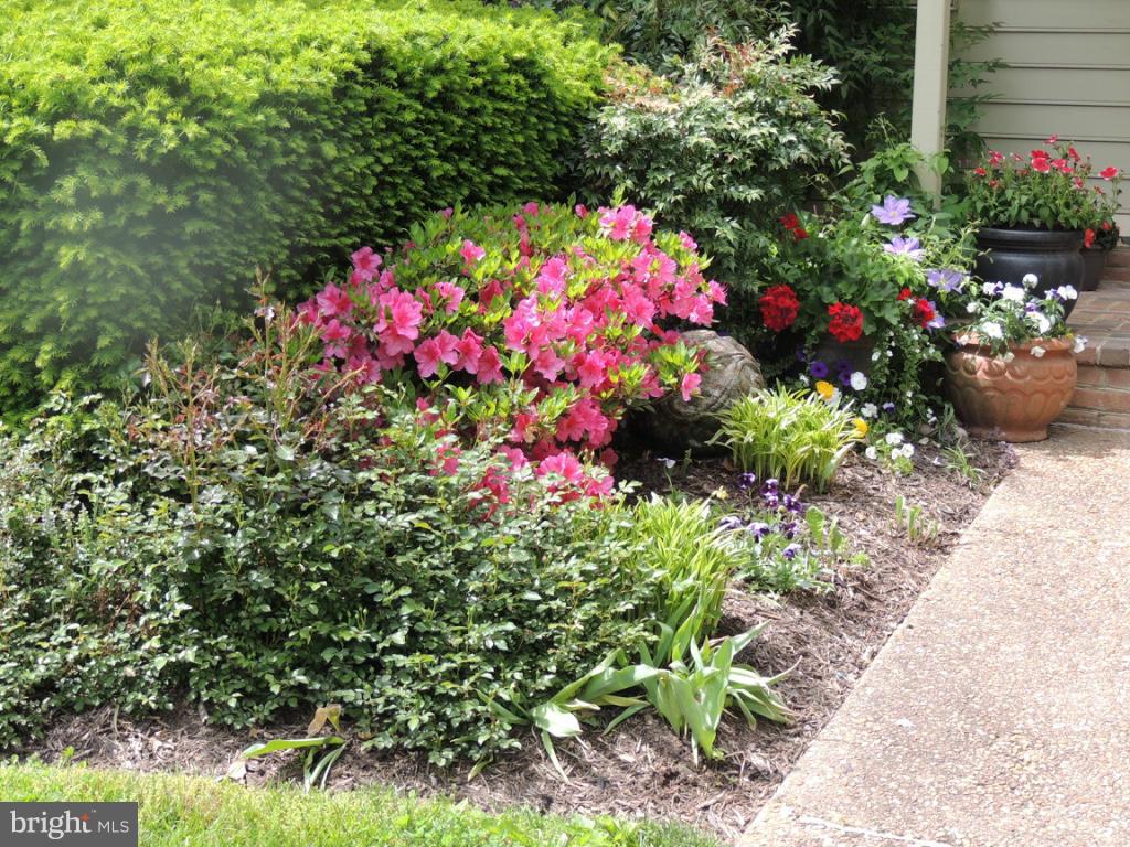 MOSBY SQUARE - Residential Lease