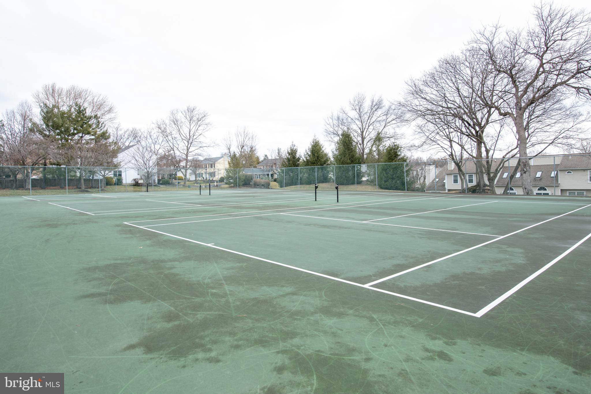 TAMERLANE - Residential