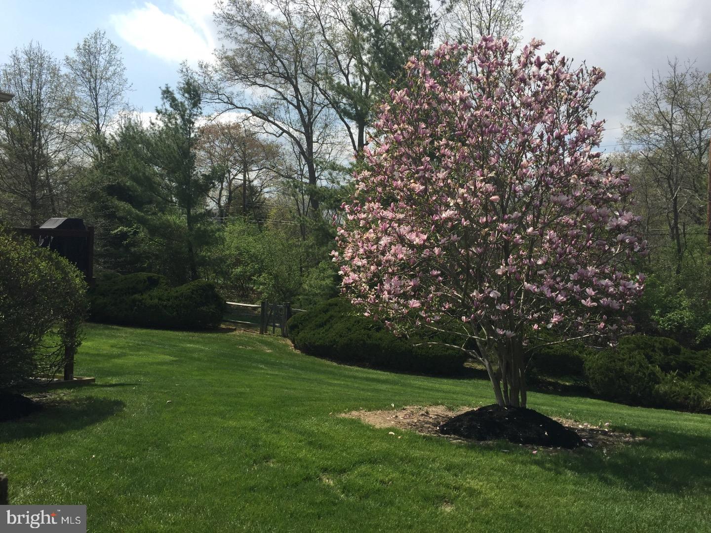 GWYN AYRE - Residential