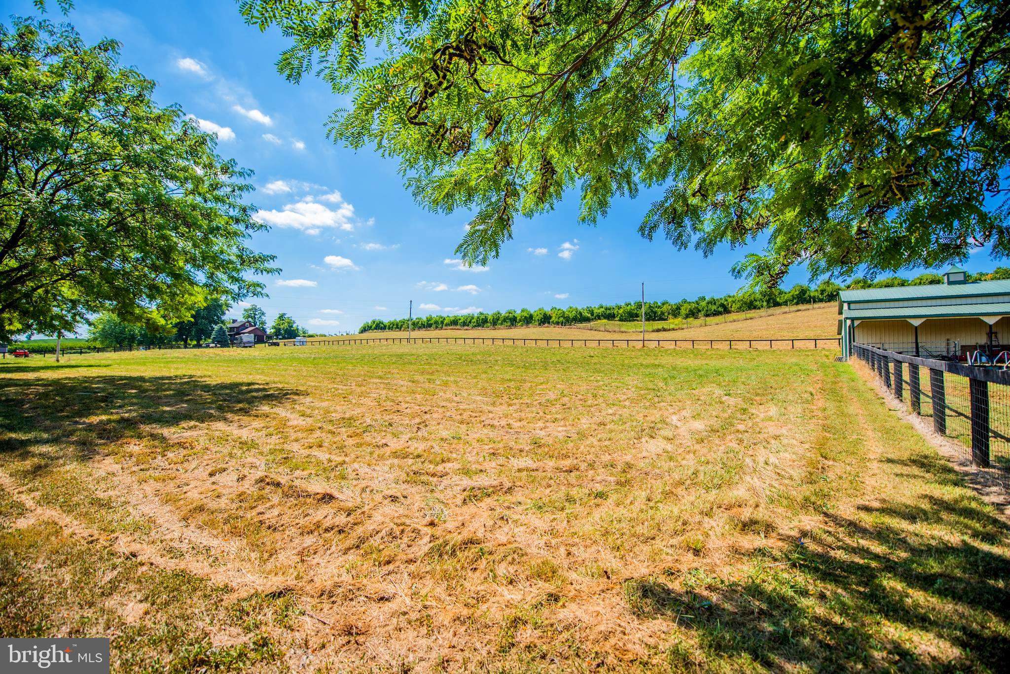 NONE AVAILABLE - Farm