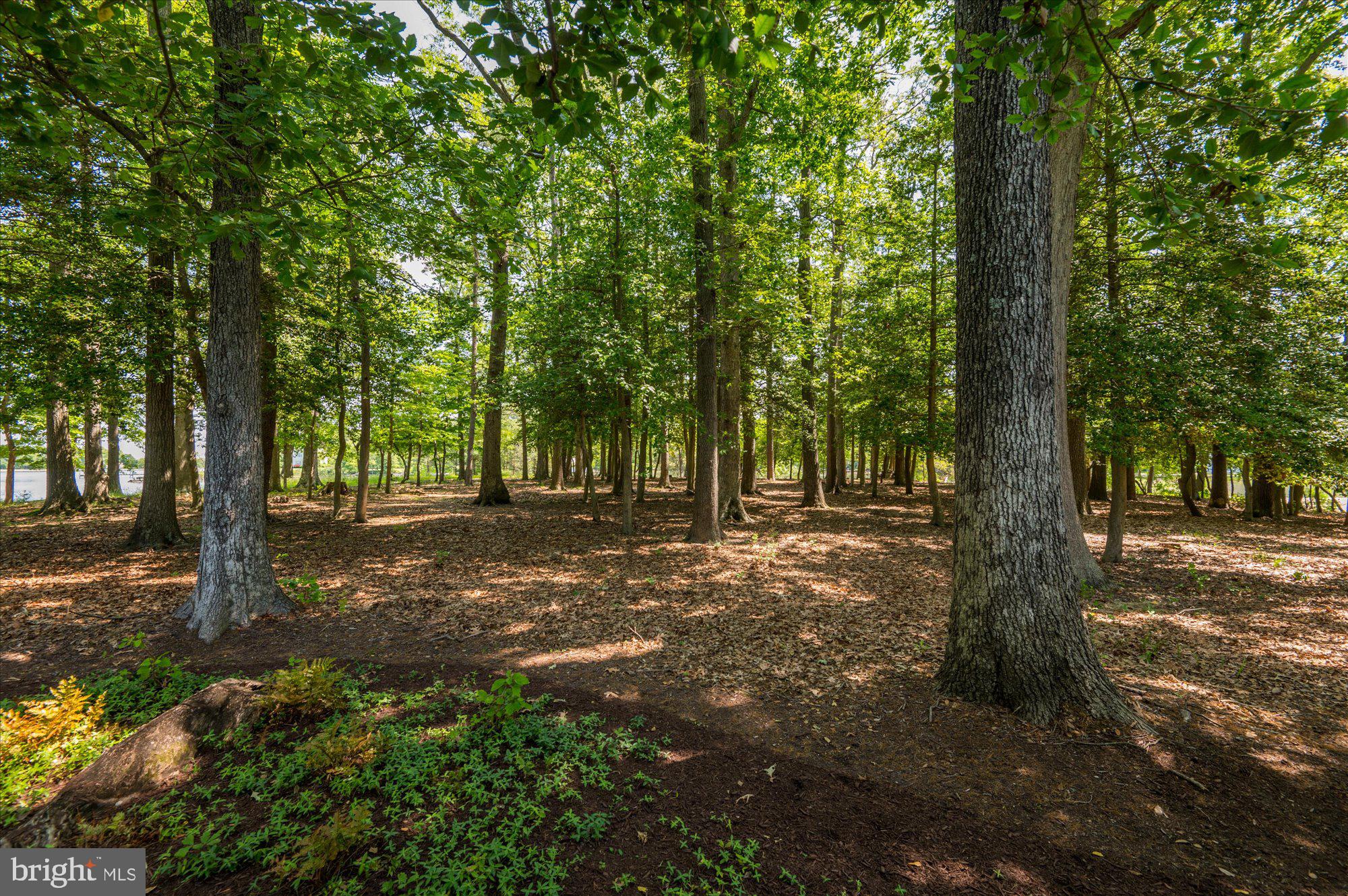 BOZMAN - Residential