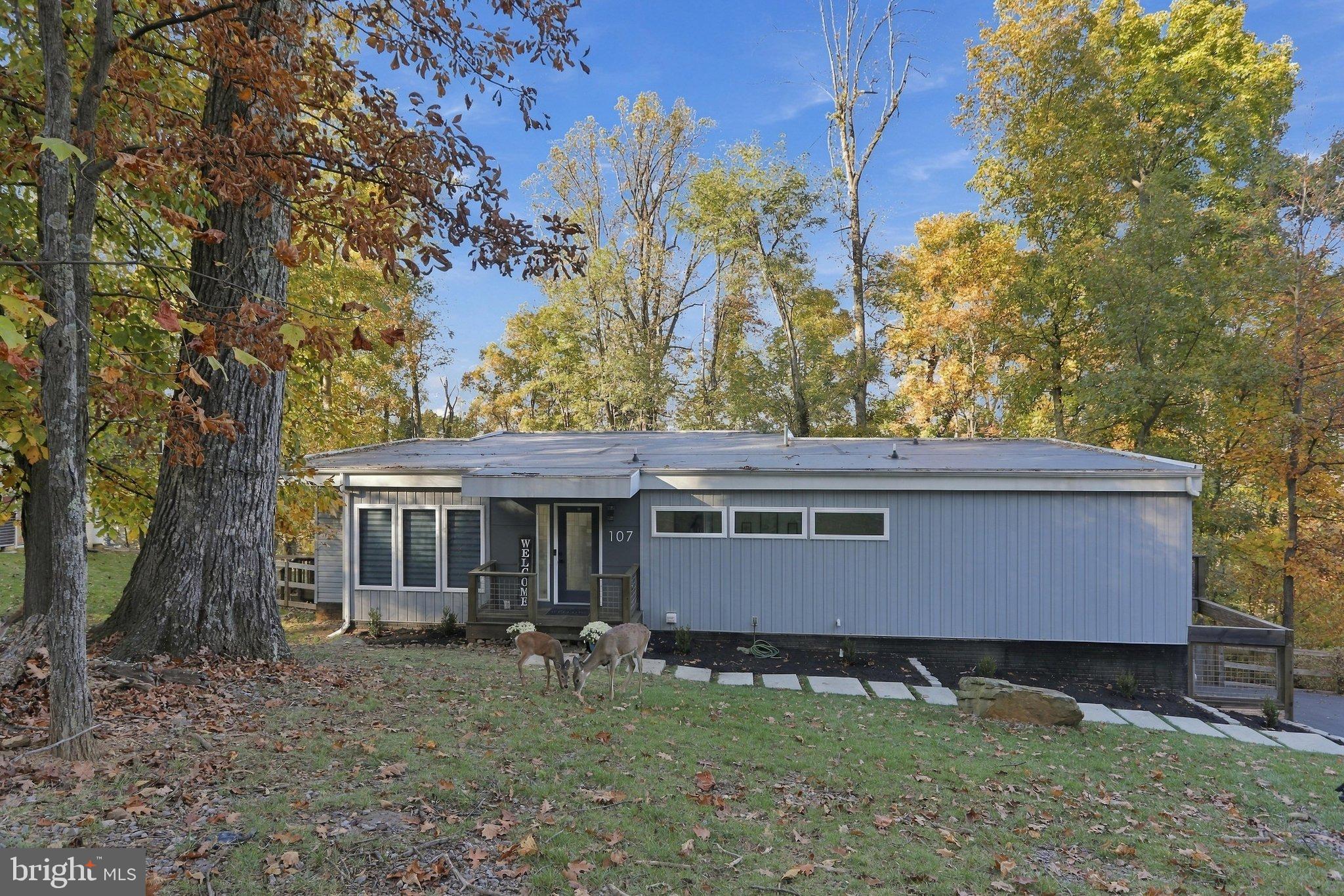 107 DEER TRAIL ROAD