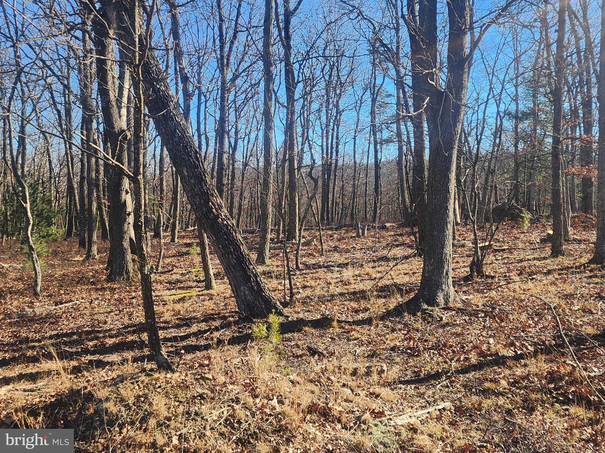 LOT N PIONEER LANE 65