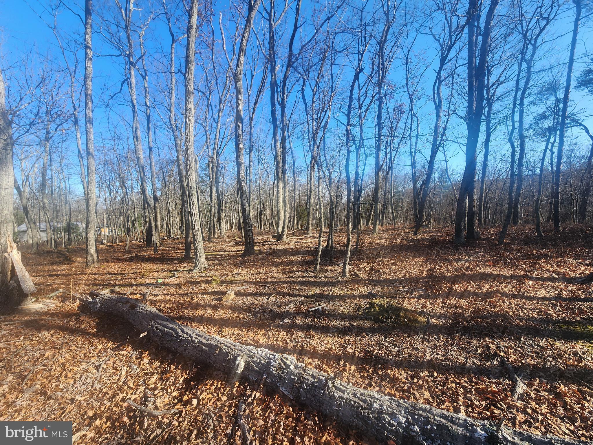 STAGECOACH STOP @ CAPON BRIDGE - Land