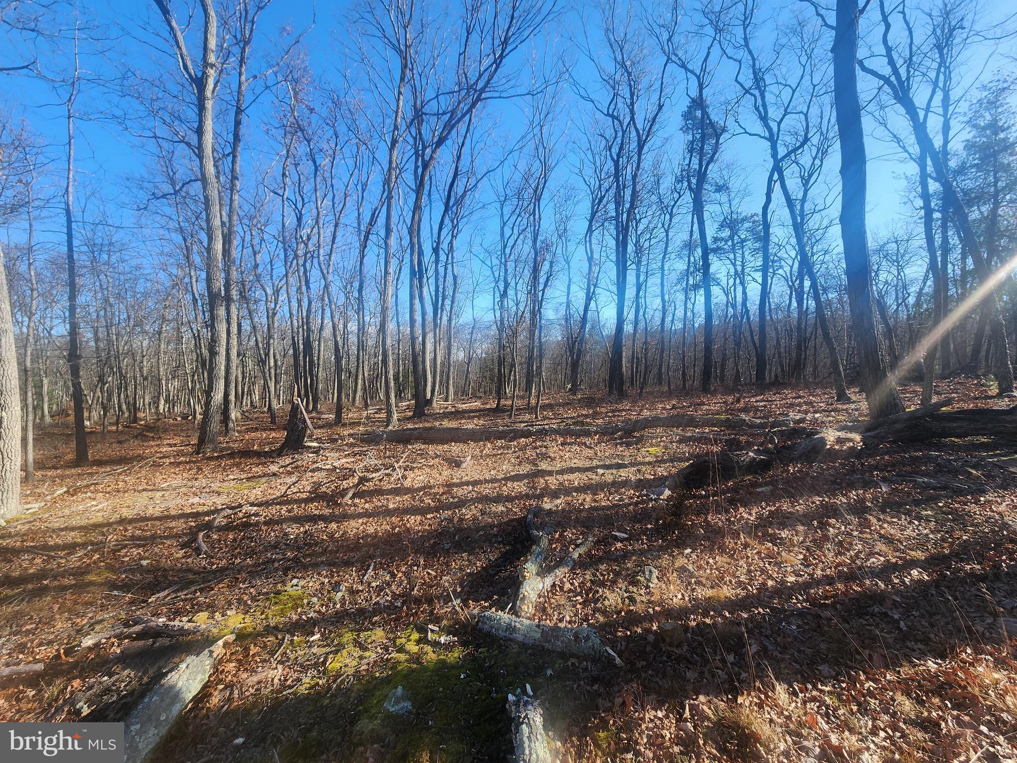 LOT N PIONEER LANE 65