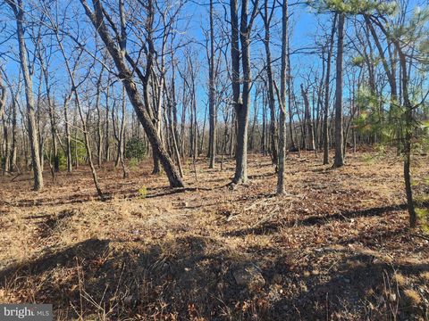 LOT N PIONEER LANE 65 AUGUSTA WV 26704