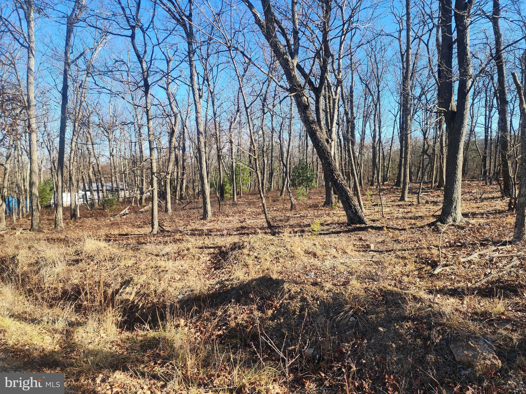 STAGECOACH STOP @ CAPON BRIDGE - Land