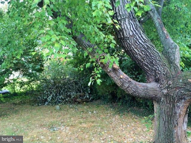 RANDOLPH HILLS - Residential Lease