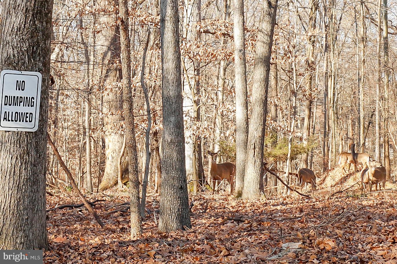 KENTSDALE ESTATES - Land