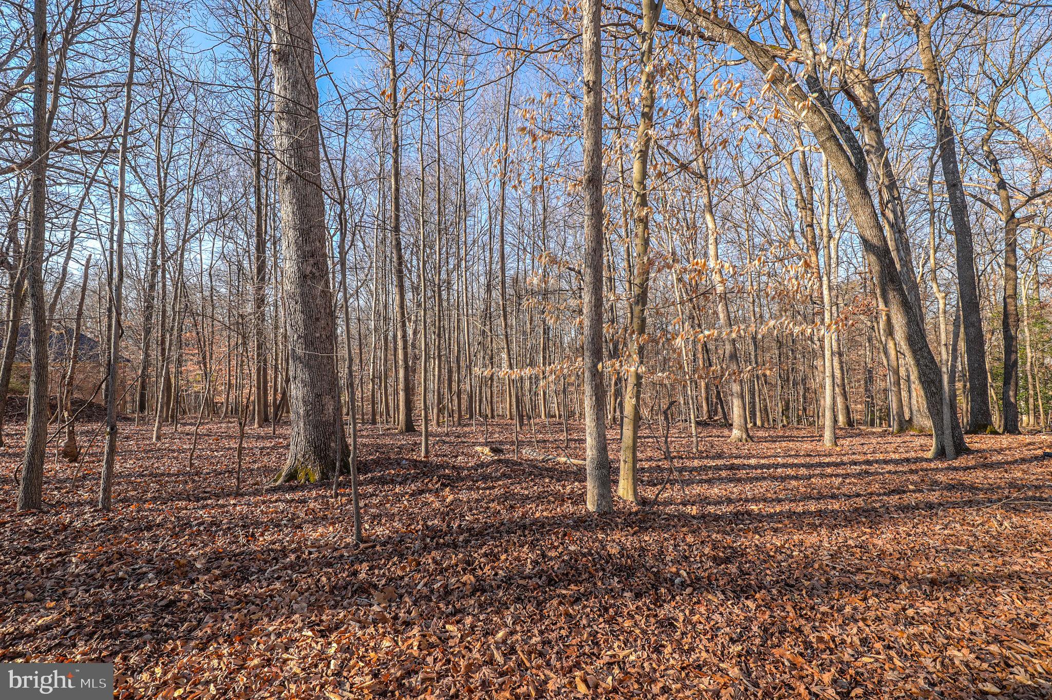 KENTSDALE ESTATES - Land