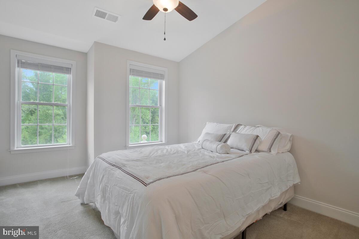 THE MEADOWS AT ARUNDEL FOREST - Residential