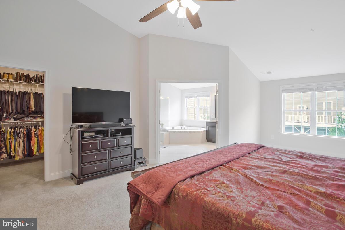 THE MEADOWS AT ARUNDEL FOREST - Residential